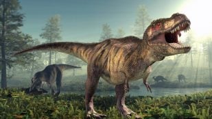 Dinosaurio
