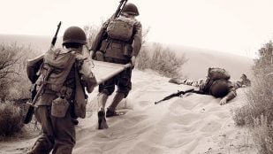 Refrán español que nació en la posguerra, origen refrán dar gato por liebre, refranes españoles de la Guerra Civil, expresiones típicas de España del franquismo.