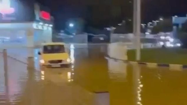 Ver vídeo