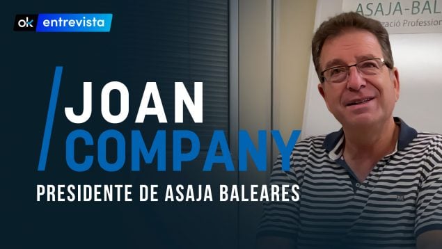 Ver vídeo