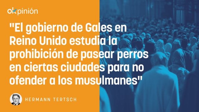 Perros musulmanes Reino Unido