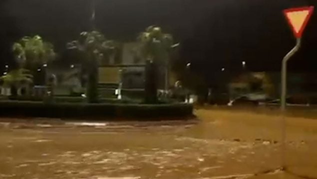 Ver vídeo