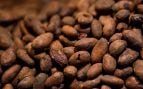 Los granos de cacao, el ingrediente principal del chocolate. (Getty Images), crisis del cacao, precio del chocolate