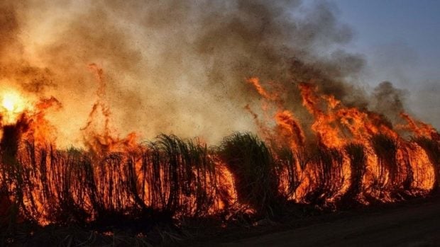 incendio