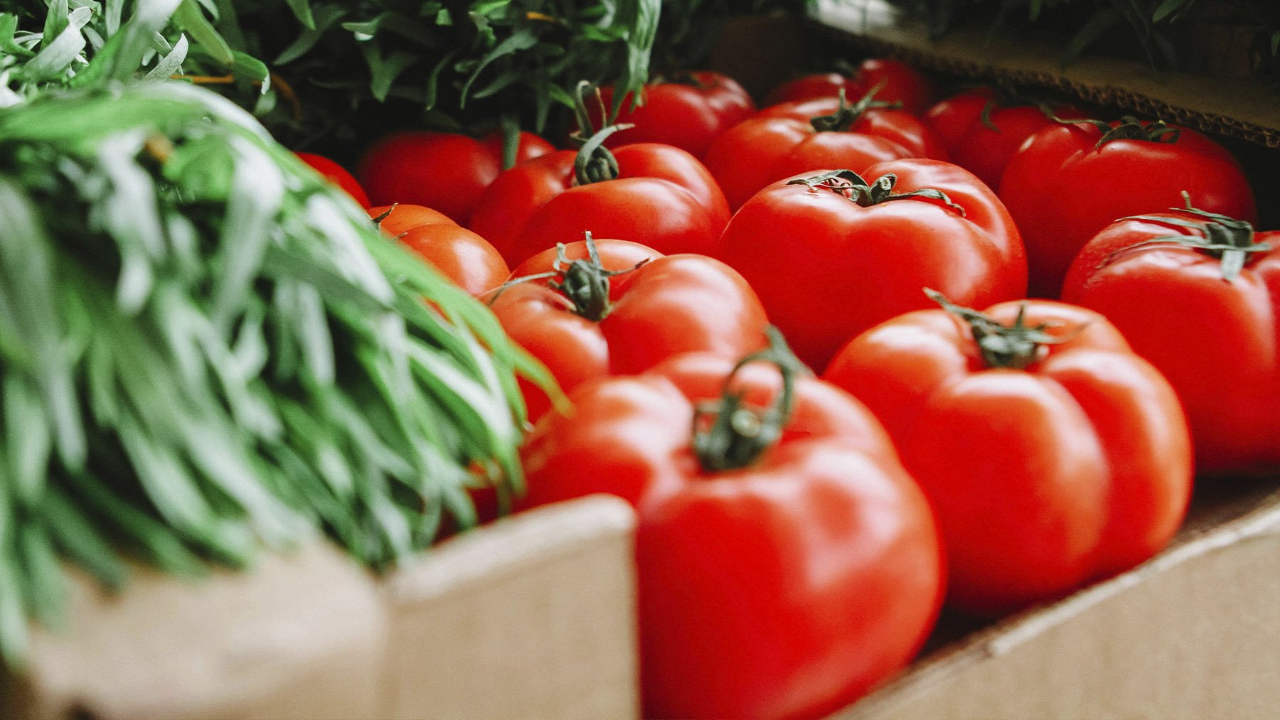 Tomates