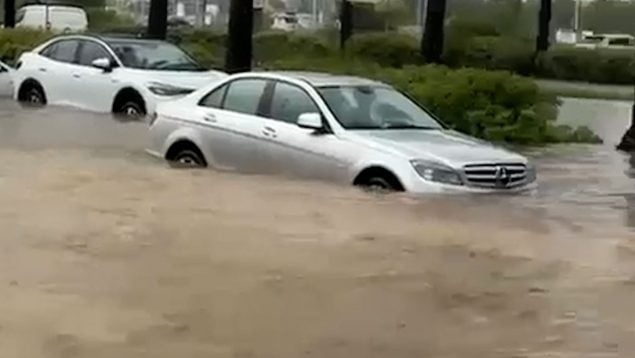Ver vídeo