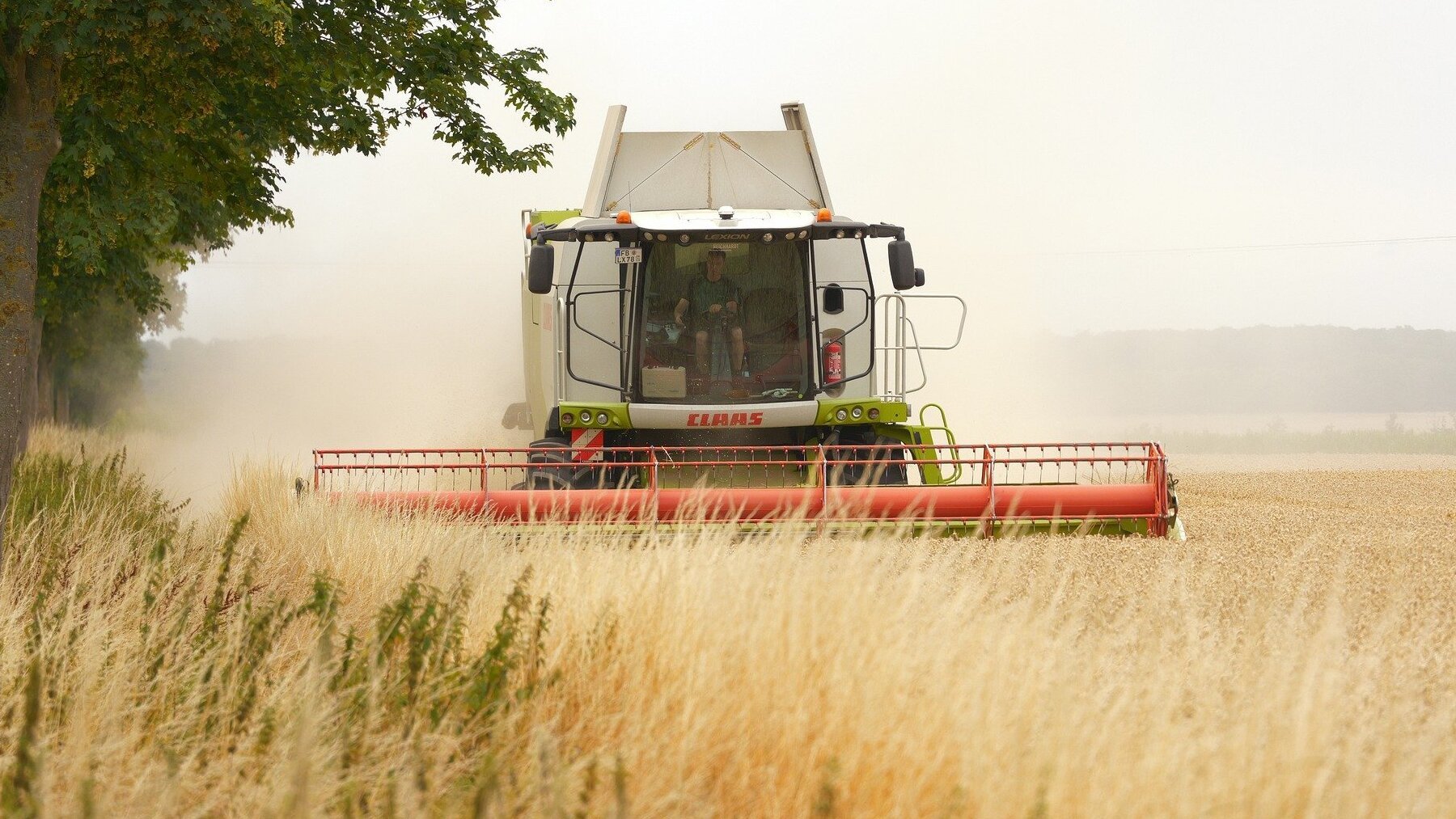 Agricultor español se queja del estado del campo, crisis sector agrícola en España, problema agricultura española, quejas agricultores de arroz, crisis del campo en España.