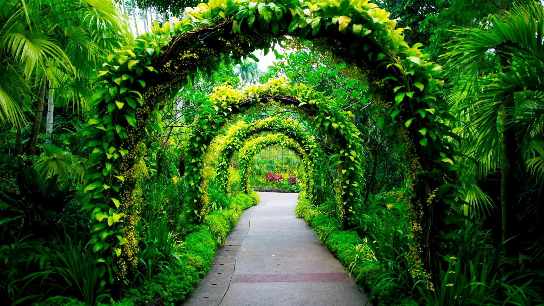 Jardín Botánico de Madrid