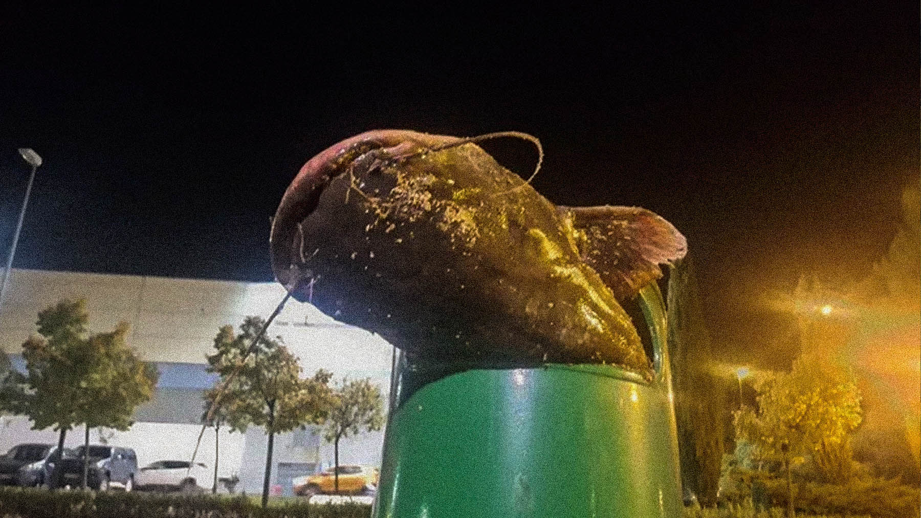 Especies invasoras de España