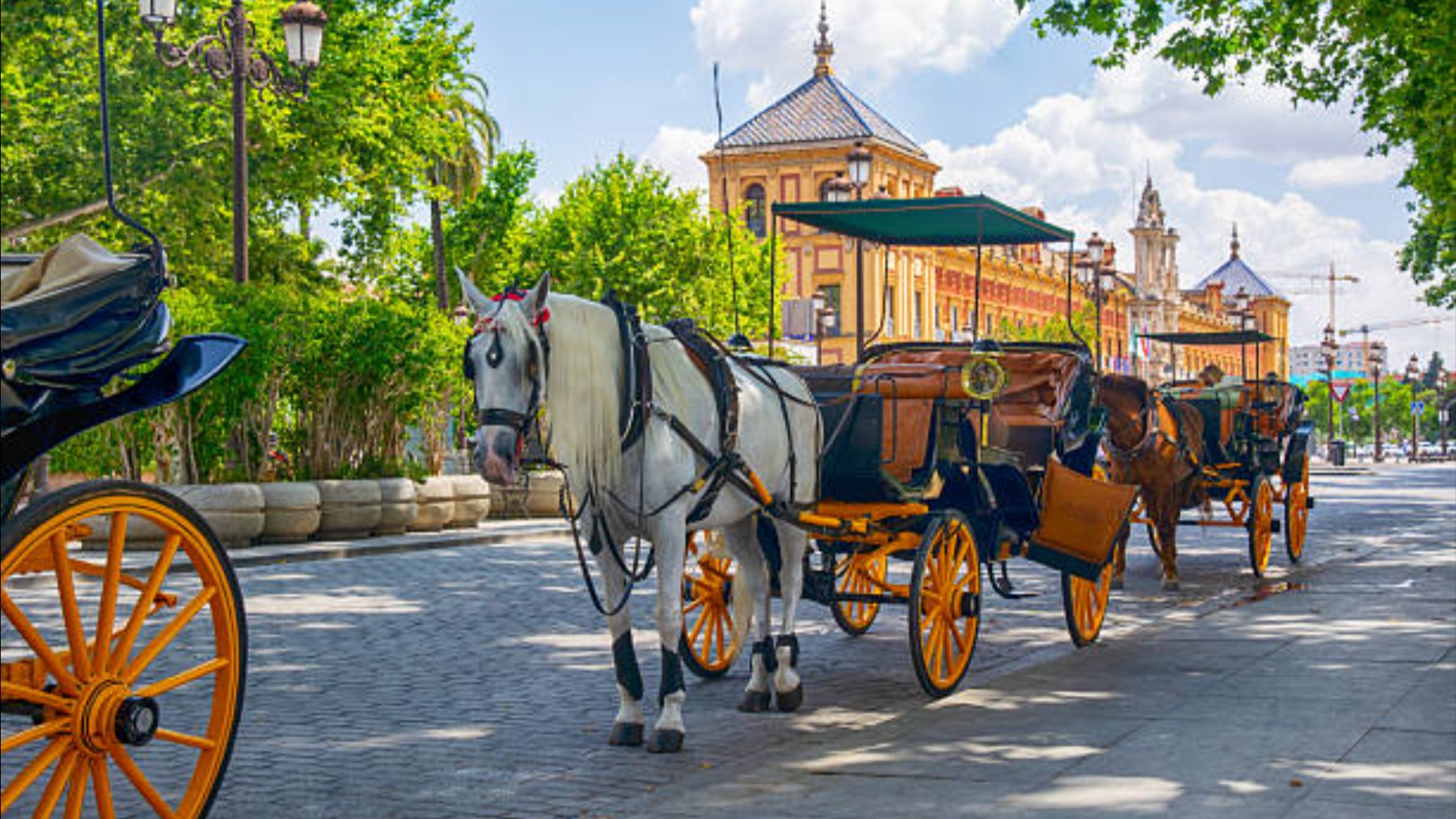 coches de caballos Andalucía