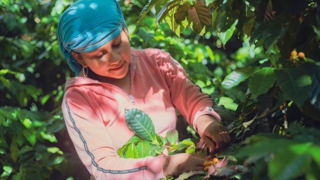 Agricultora pide que se apoye al sector primario en rede sociales, agricultura en redes sociales, agricultora pide apoyo en TikTok, denuncia de una agricultora en redes sociales.