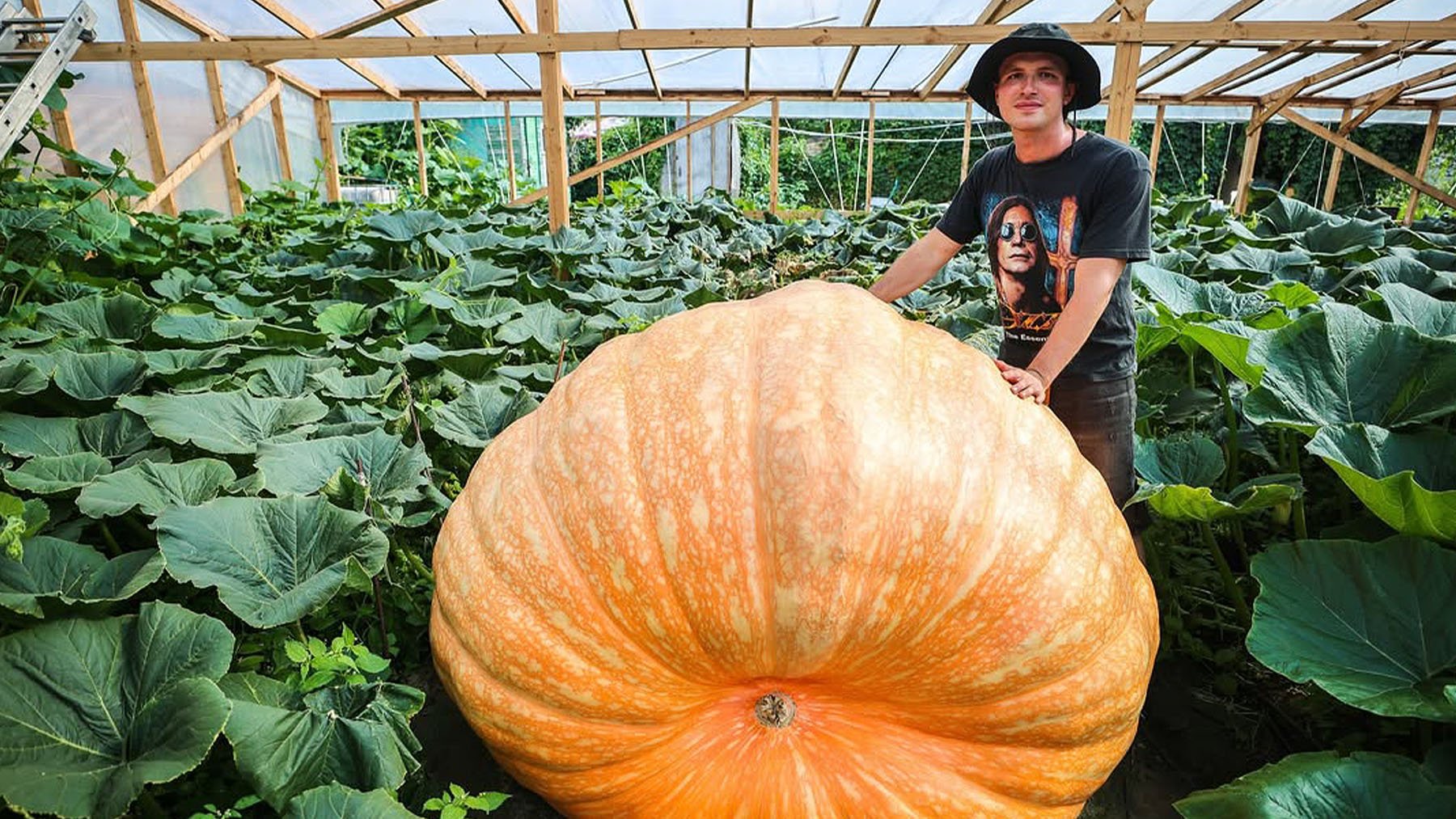 Alexander Chusov y su calabaza. Foto: Yevgeny Messman/TASS.