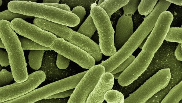 La IA crea virus capaces de matar bacterias, la inteligencia artificial crea virus, virus contra las bacterias, aplicación de la IA en medicina, biotecnología e IA.
