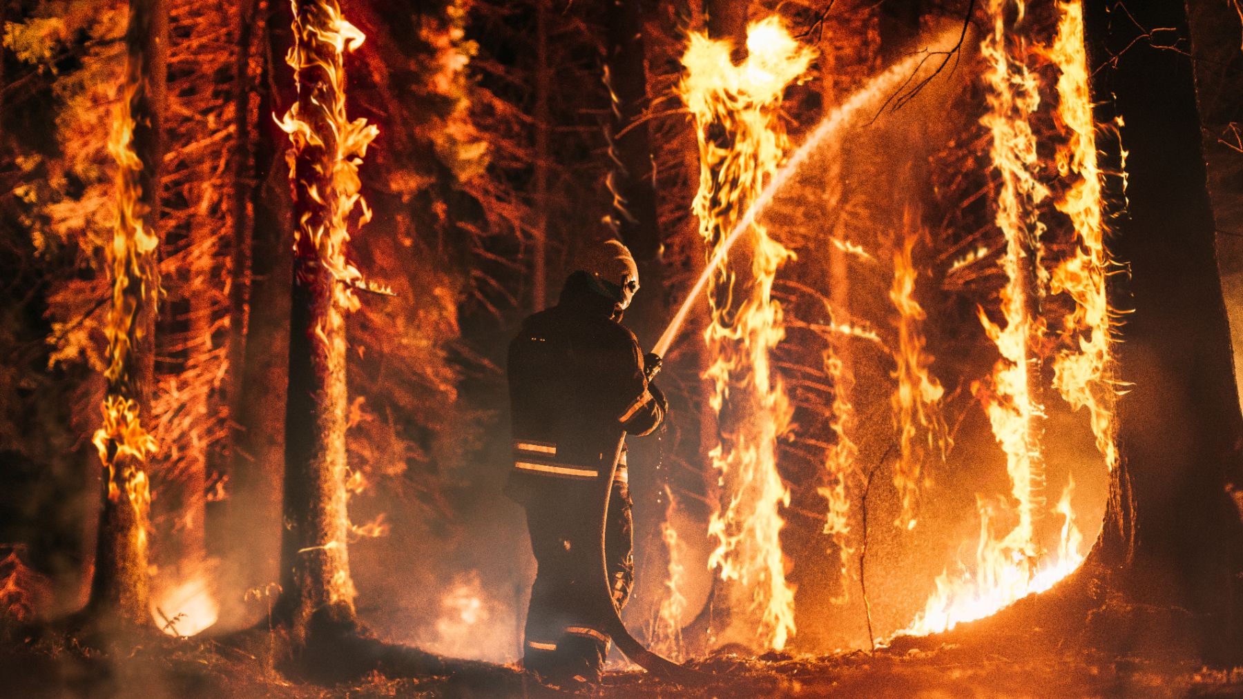 bomberos forestales