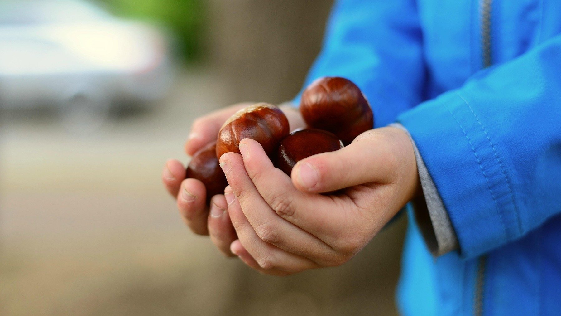 El desconocido truco que recomienda una frutería para conservar las castañas en la despensa durante meses