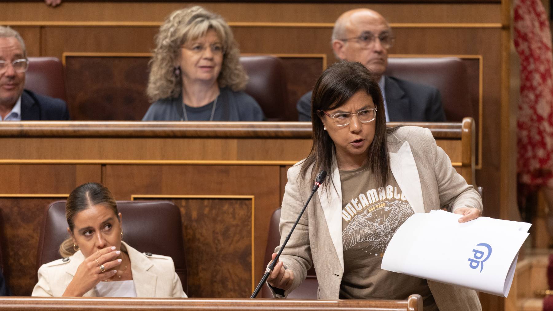 PP, seguridad privada, Policía Nacional