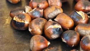 Receta de castañas