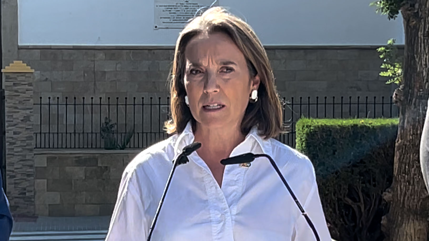 Ver vídeo