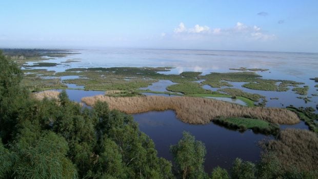 Doñana