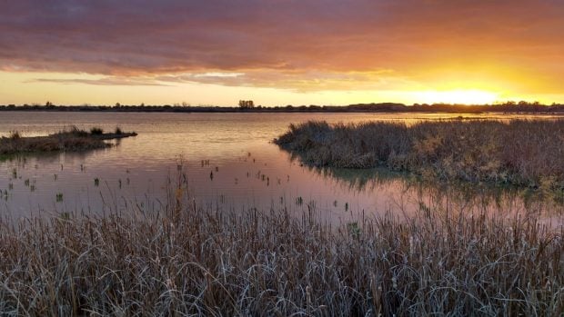 Doñana Marismas