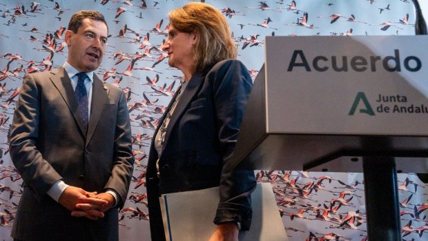 Moreno bonilla y Ribera