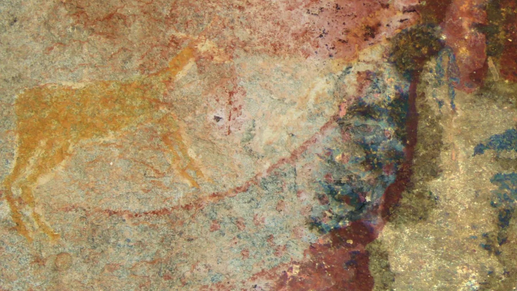 Pintura de un animal con colmillos. Foto: Julien Benoit ( CC-BY 4.0).