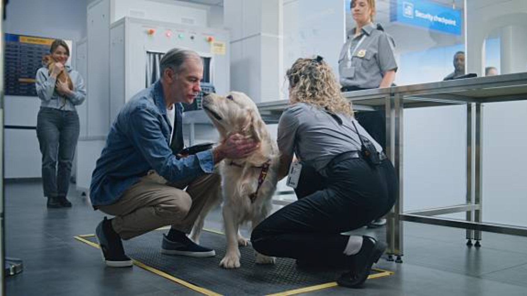 aerolíneas mascota