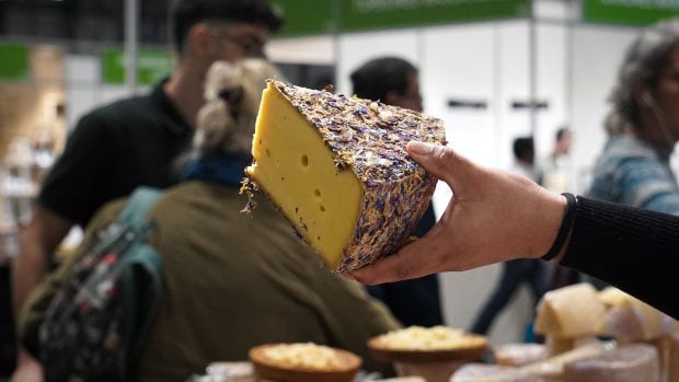queso biocultura