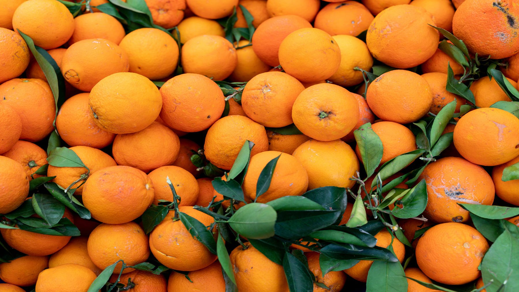 Mandarinas. Foto: Freepik