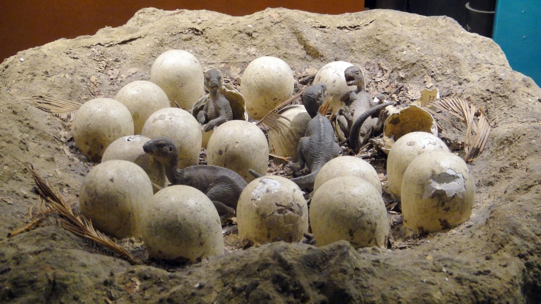 Recreación huevos de dinosaurio.