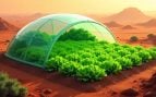 Marte, NASA, lechugas, curiosidades