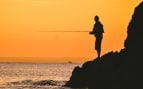 Descubren peces exóticos en el Cantábrico, pez mahi-mahi en el golfo de Vizcaya, peces exóticos en el cantábrico, pescan peces gigantes en el Cantábrico.