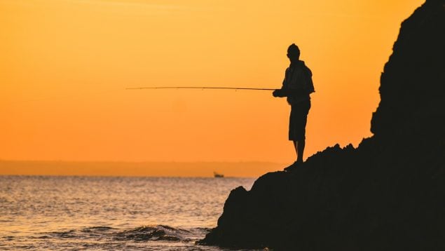 Descubren peces exóticos en el Cantábrico, pez mahi-mahi en el golfo de Vizcaya, peces exóticos en el cantábrico, pescan peces gigantes en el Cantábrico.