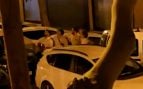 Amor desafinado Palma serenatas