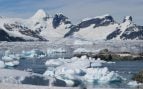 Descubrimiento científico Antártida, Antártida y ámbar, cuándo existieron bosques en la Antártida, evolución de la Antártida.