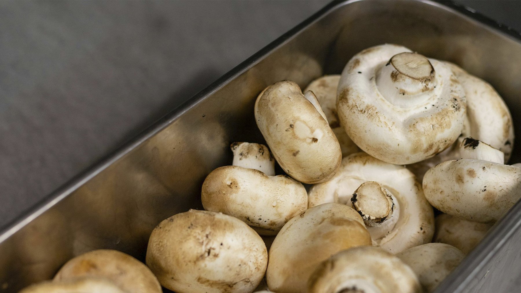 Champiñones. Foto: Pexels.