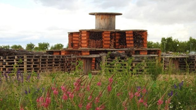 Endesa biodiversidad