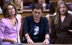 Aizpurúa ETA, Gobierno Bildu