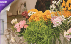 floristerias madrid