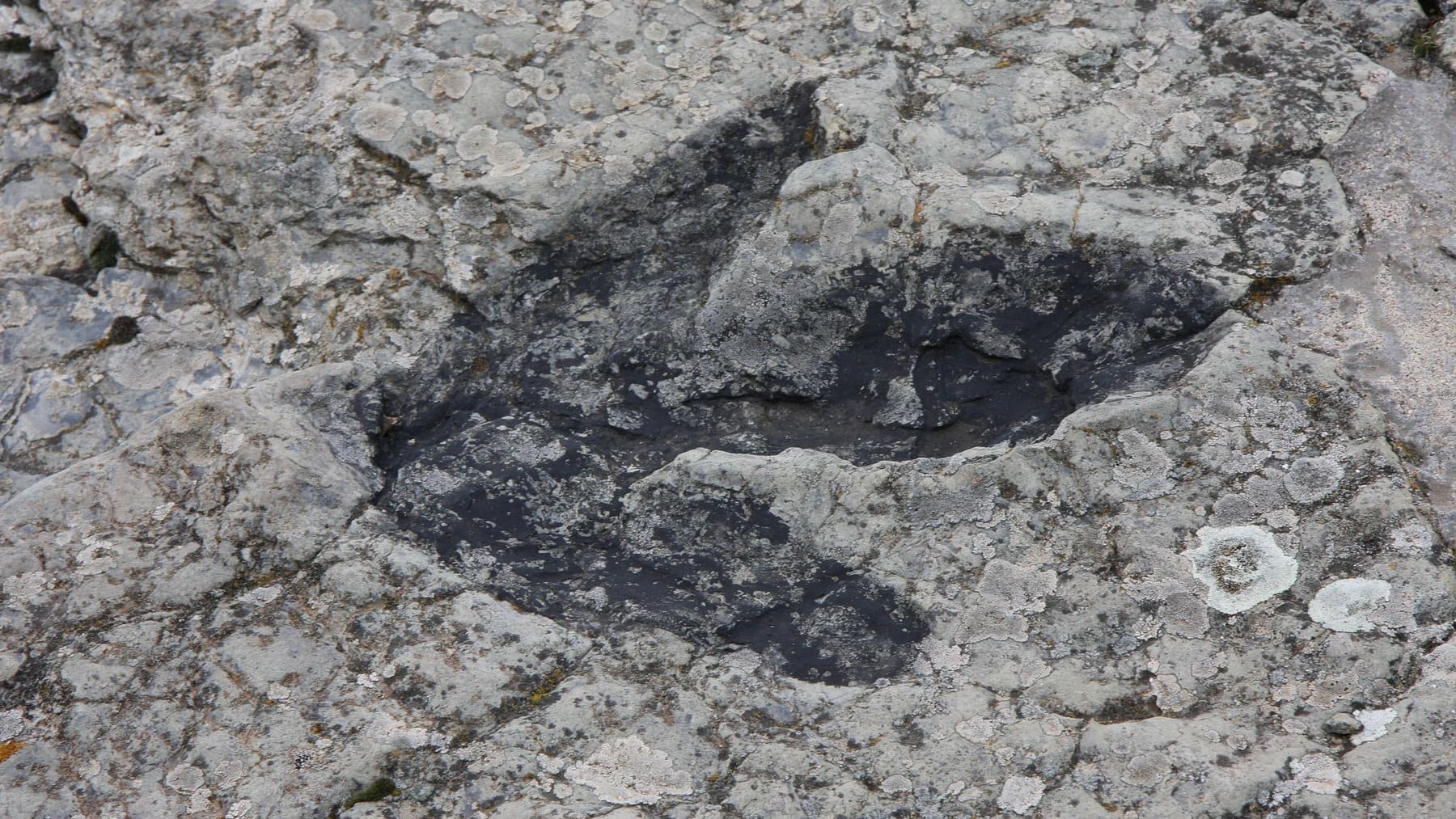 Huella.