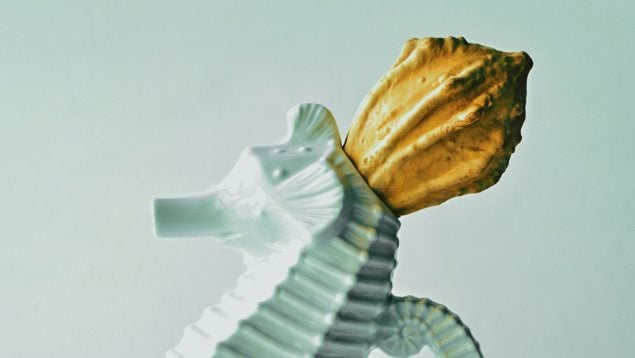 Pregúntale a ChatGPT sobre el emoji de caballito de mar y mira qué ocurre tras hacerlo
