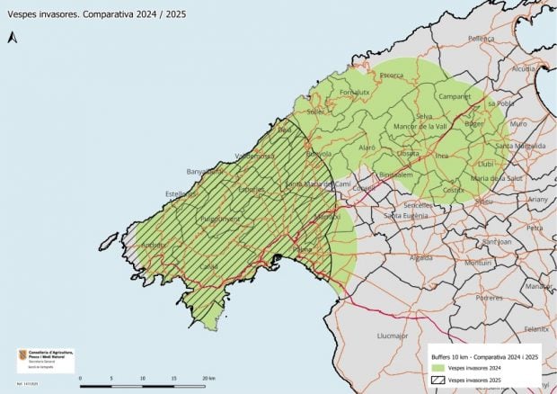 Presencia de avispas en Mallorca