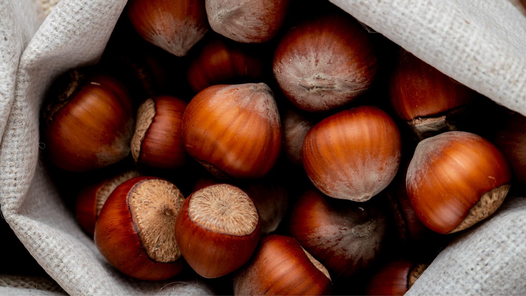 Castañas. Foto: Freepik