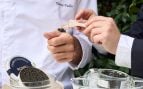 caviar ecológico
