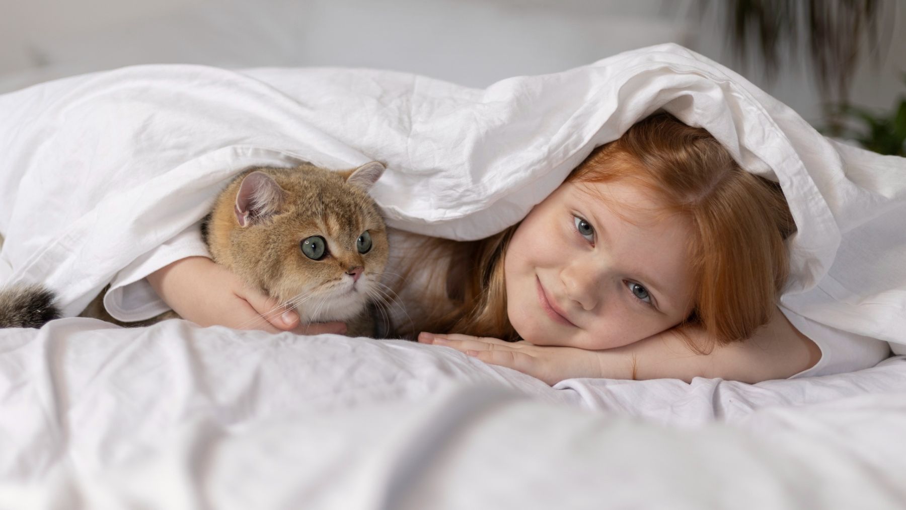 Una niña con su gato. Foto: Freepik