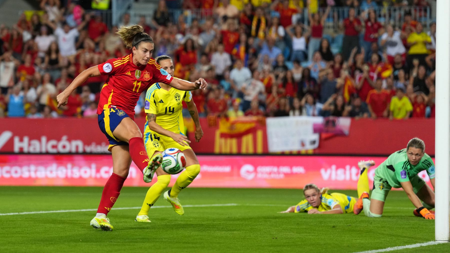 Sigue en directo el España-Suecia. (Getty)