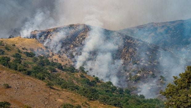 Incendio en Extremadura