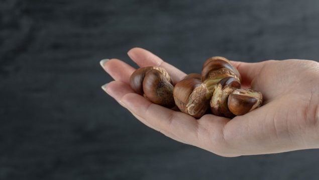 Castañas, frutos secos, truco, truco de cocina