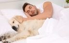 Dormir con el perro