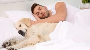 Dormir con el perro